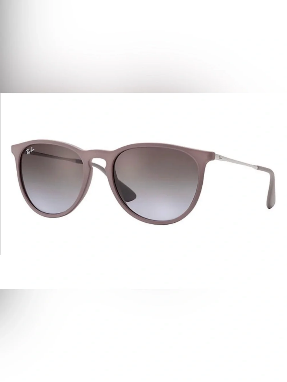 Ray Ban Erika Sunglasses